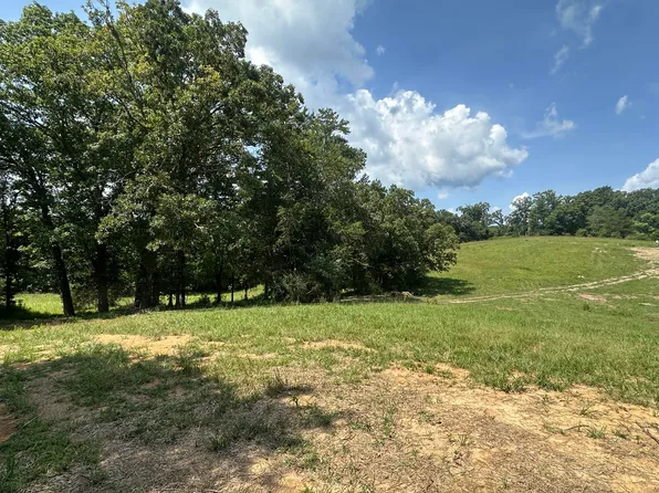 14587 Baker Rd Lot 11, Birchwood, TN 37308