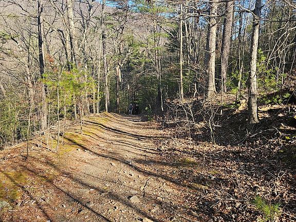2nd image of 0 Tiger Valley Rd