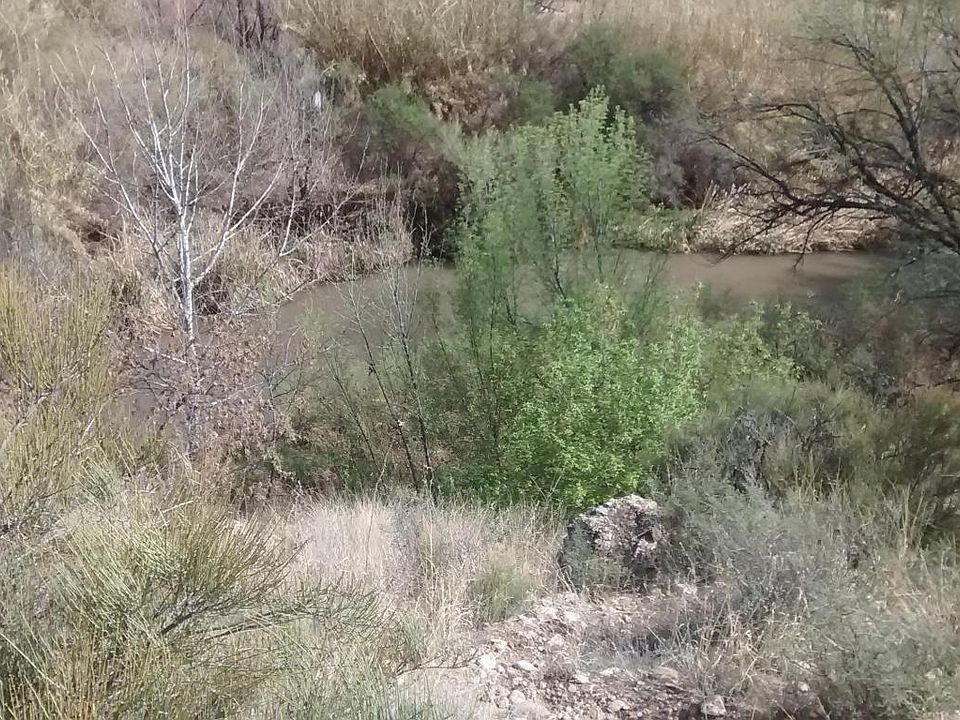 2nd image of 2235 S Diamond Cir