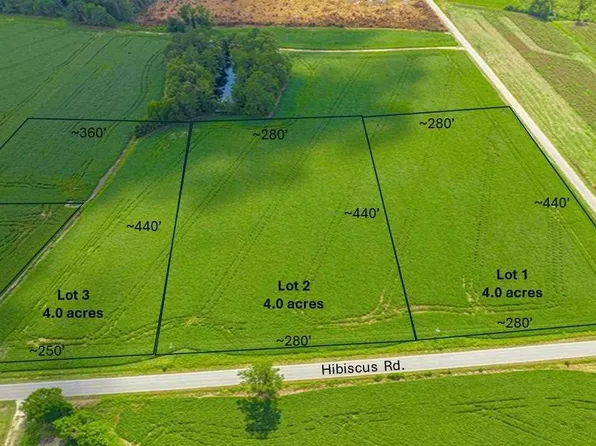 LOT 1 Hibiscus Rd, Timmonsville, SC 29161