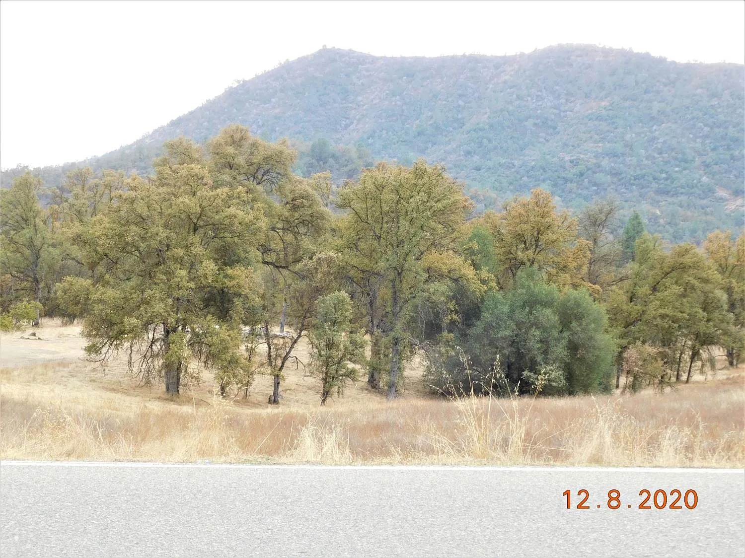 32705 Sycamore Rd photo 1