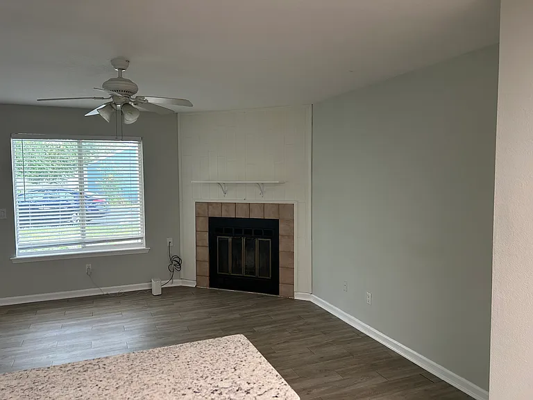 Living Room fireplace