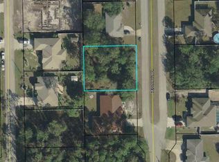 10 Zephyr Lily Pl, Palm Coast, FL 32164