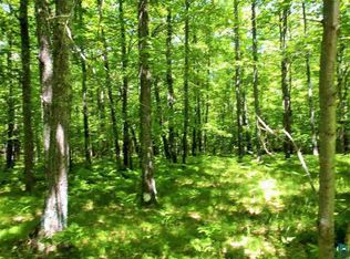 Xxx Hollander Rd, Iron River, WI 54847