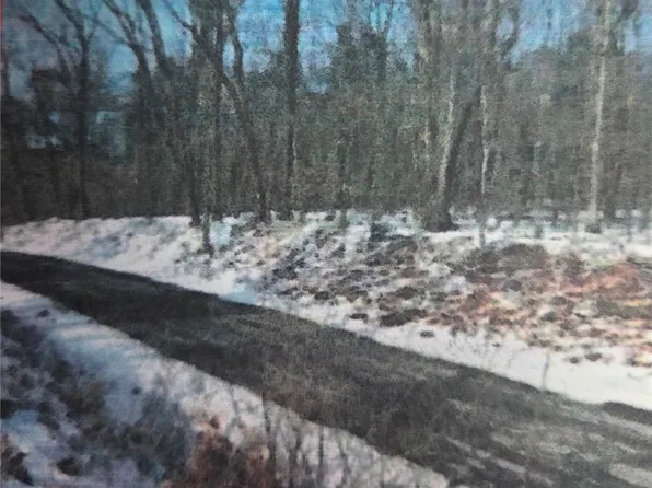 0 Kaylor Petrolia Rd, Karns City, PA 16041