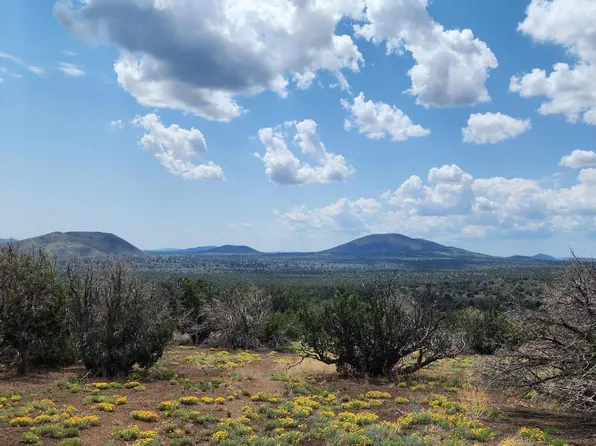 30343007B Alpine Rancho, Flagstaff, AZ 86001