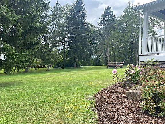 left side yard