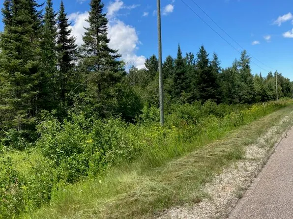 0 E North Caribou Lake Rd, De Tour Village, MI 49725