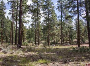 132 Calico Trl, Durango, CO 81301