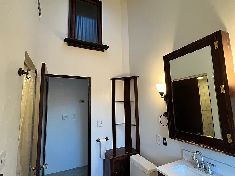vaulted ceiling with sky light