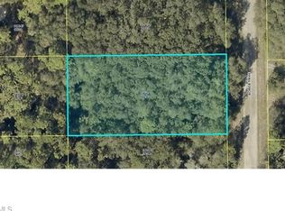 1917 Robert Ave, Lehigh Acres, FL 33972