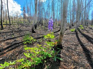 646 Gcr #412, Granby, CO 80446