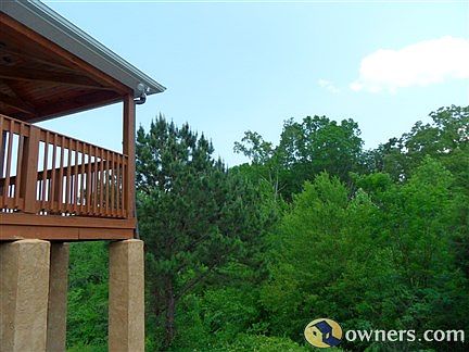 woods in back of property