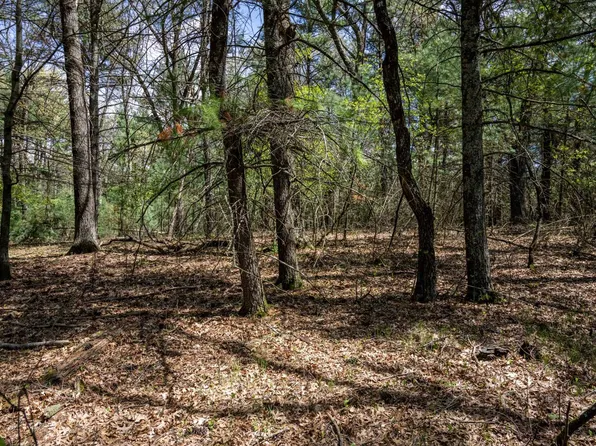 LOT 38 S Badger Ln, Arkdale, WI 54613