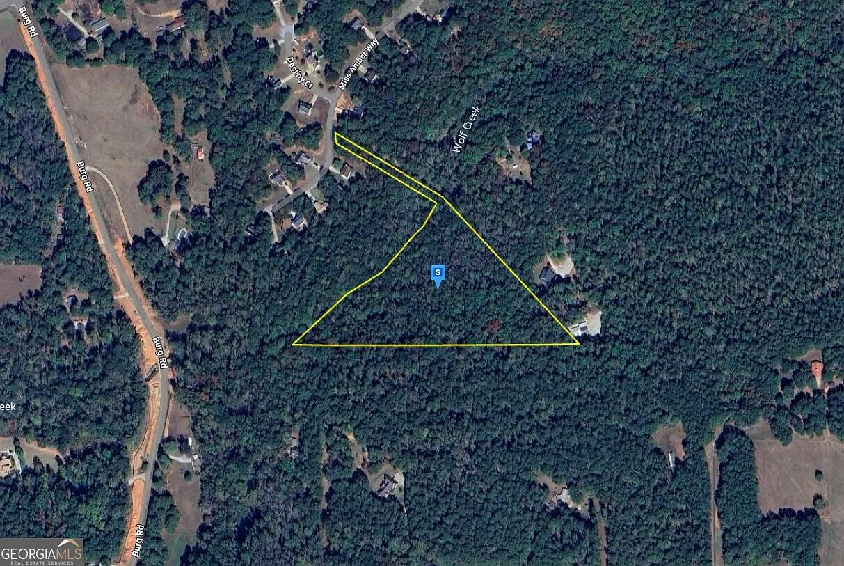 1018 Miss Amber Way photo 1