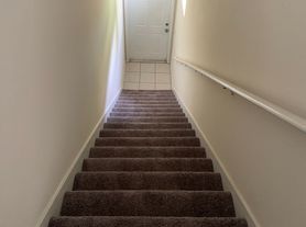 447 W Longleaf Dr
