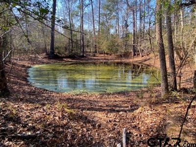 Fm 232, Crockett, TX, 75835