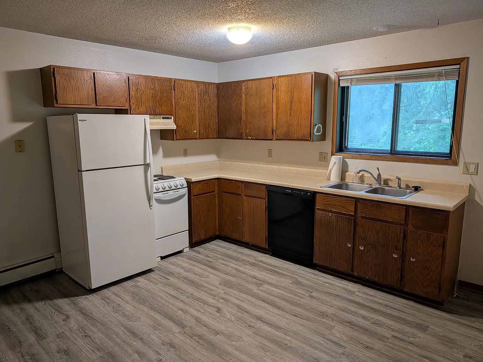 1 bed, $700 — Photo 4