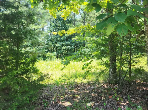 0 Pearly Anthony Rd, Maryville, TN 37803