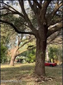 2874 CREEK Street, Middleburg, FL, 32068