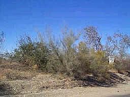 1st image of 0 N 163rd Avenue #1