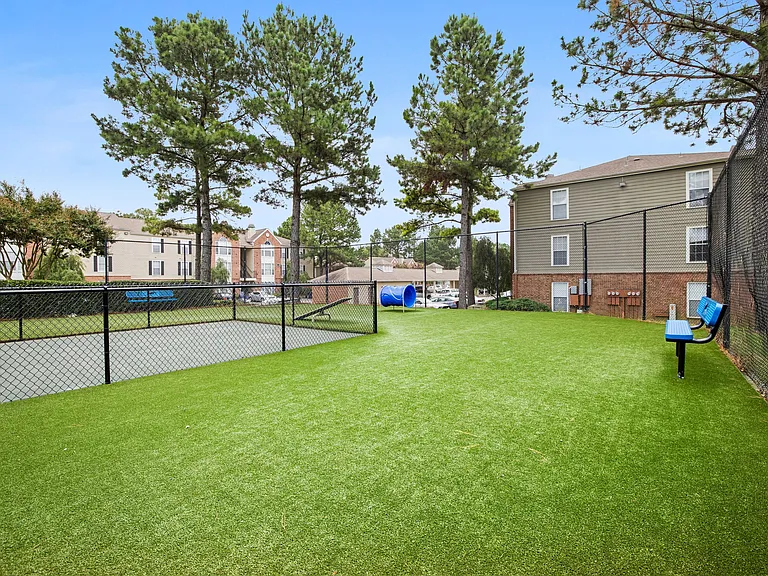 Dog Park