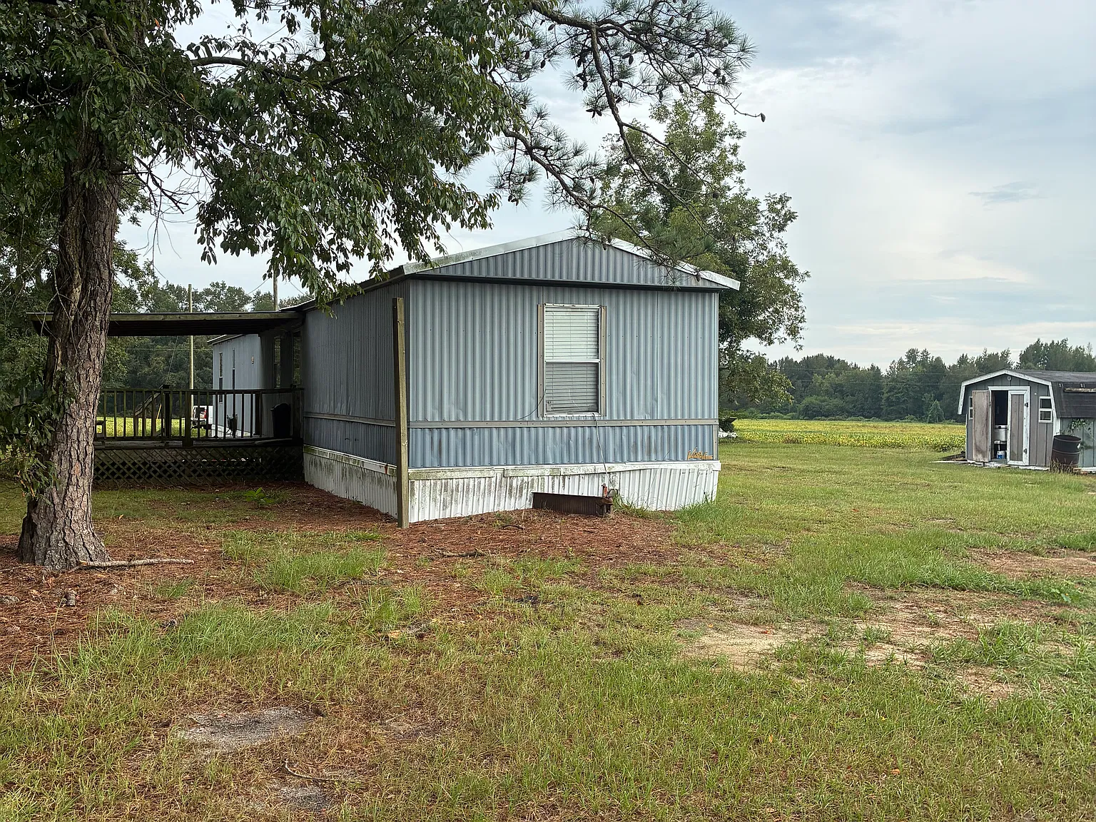 3 bed, 1250 sqft, $1,000 — Photo 4