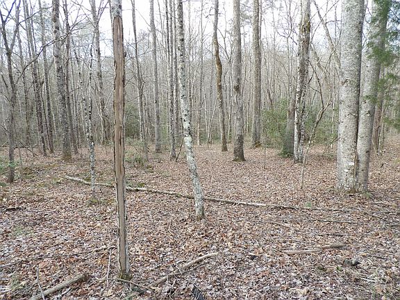 5th image of 1 Dogwood Dr #1