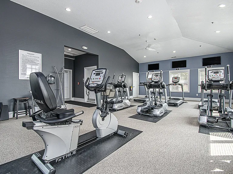 The Reserve at Destination Pointe — Photo 38