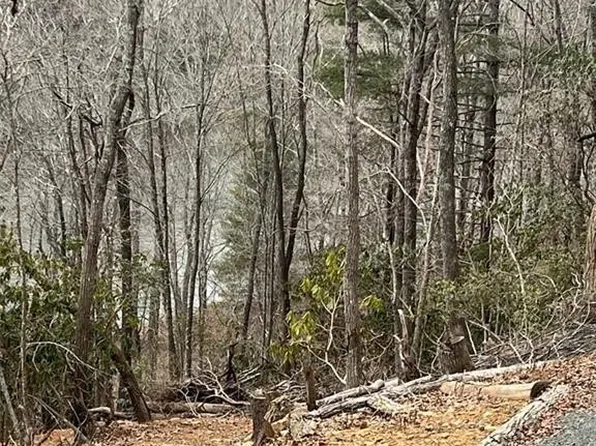 Lot 13 & 16 Island Ford Road, Jefferson, NC 28640