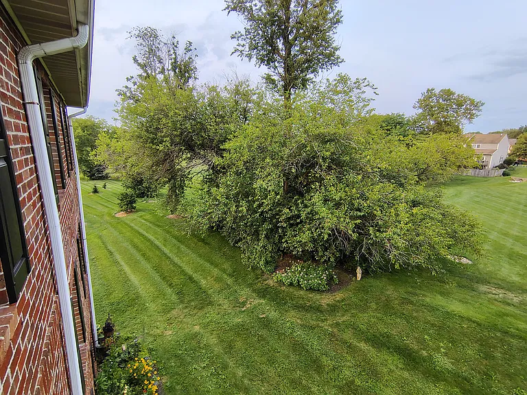 View from Balcony