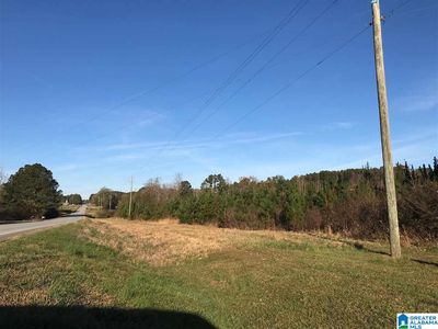 16.26 Ac Hwy #46-0, Ranburne, AL, 36273