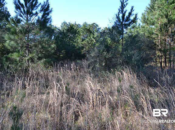 5th image of 0 S County Road 95 S