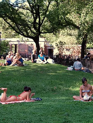 Rented by Camhi NYC Realty Inc | media 17