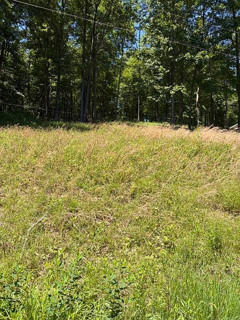 1st image of 13 Fieldstone Dr