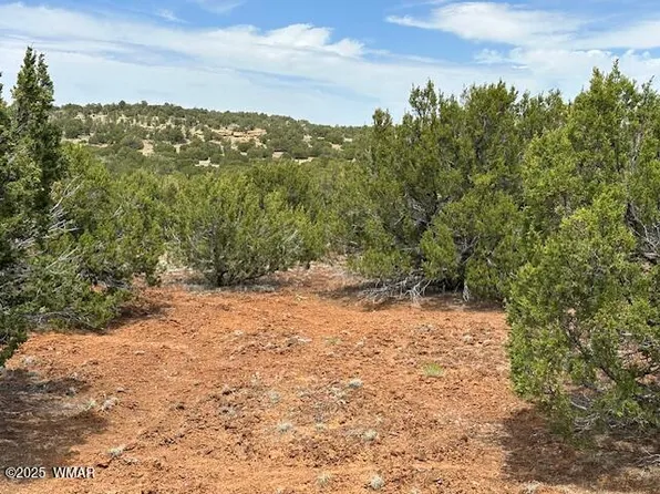 40 County Road 3048, Concho, AZ 85924