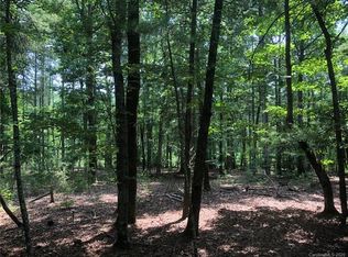 1593 Yellow Fork Trl #177, Nebo, NC 28761