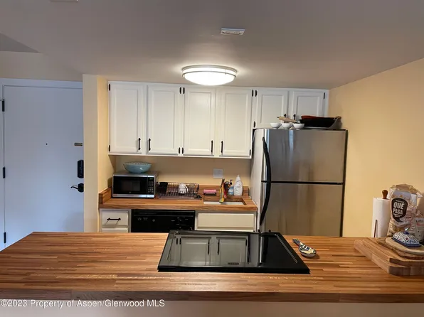 213 Vine St #213, Aspen, CO 81611