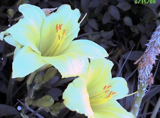 7715 Geneseo Ln, Arlington, TX 76002