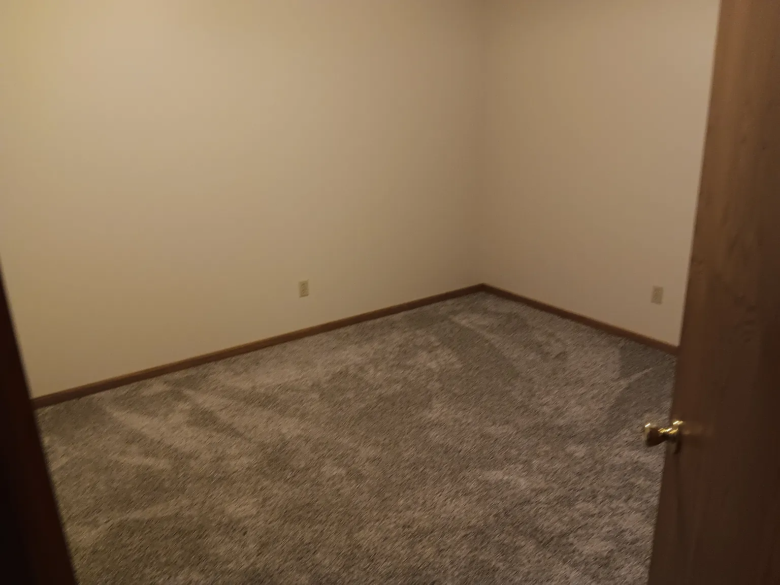 2 bed, 1000 sqft, $1,250 — Photo 4