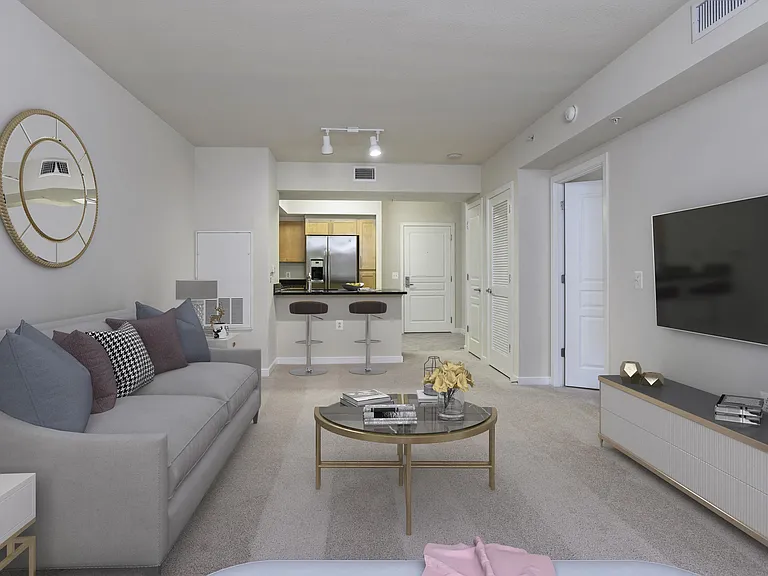 Living Room and Kitchen