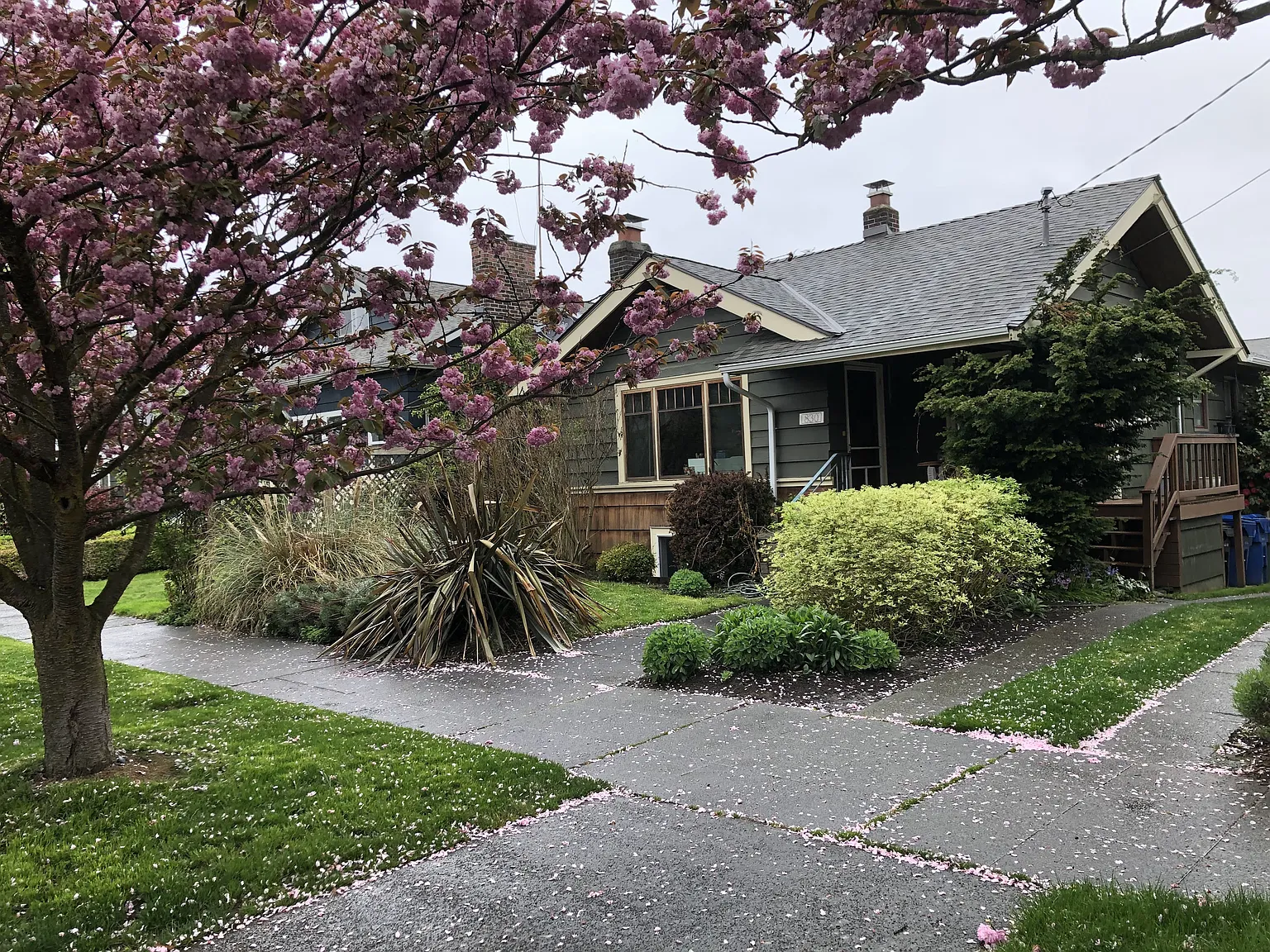 NE 55th St, Seattle — Photo 1