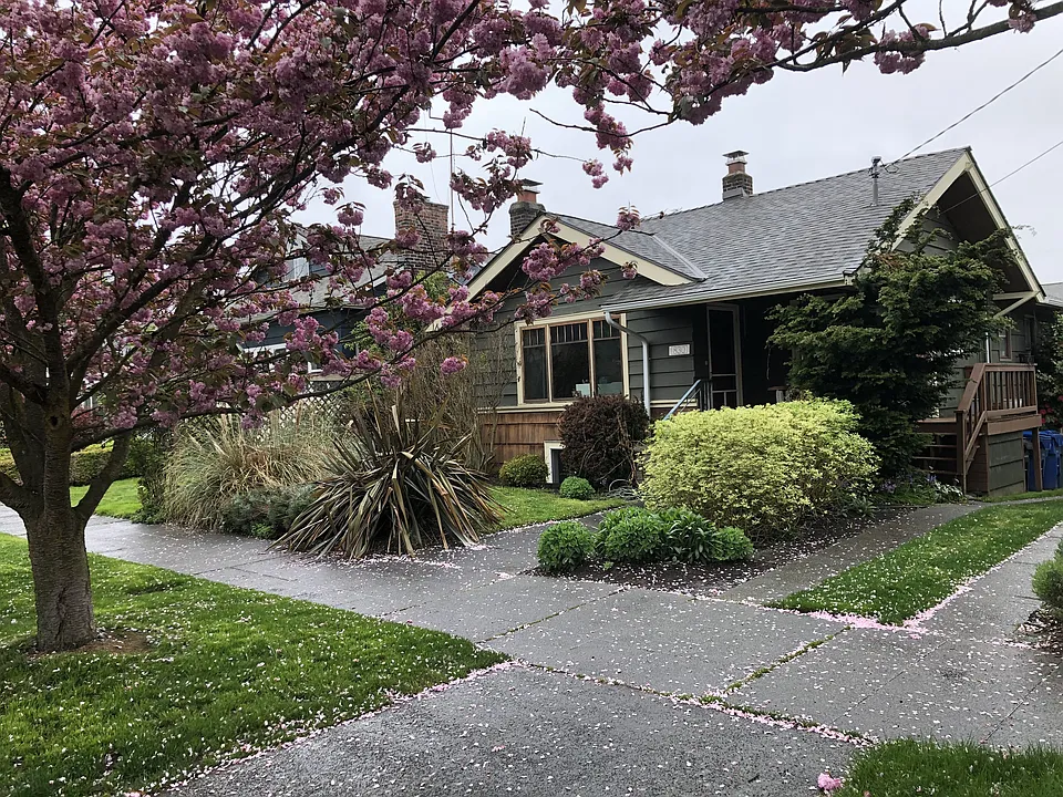 NE 55th St