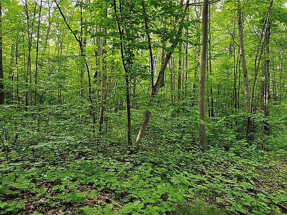 3rd image of Lots 17-32 Indian Drive