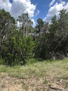 949 MALBEC LOOP LOT 26, Canyon Lake, TX, 78133