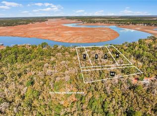 1775 Delegal Dr NE, Townsend, GA 31331