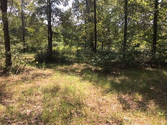 2nd image of 737 County Road 4030