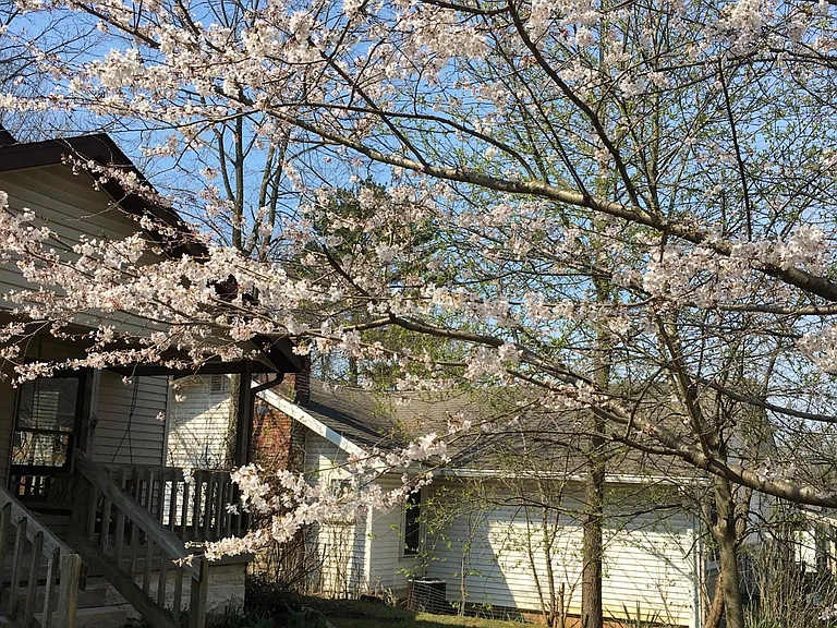 508 E Hillside Dr — Photo 5