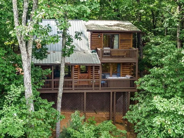 41 Beaver Ct, Blue Ridge, GA 30513
