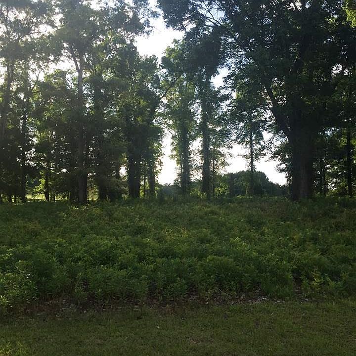 1st image of 4003 Gray Heron Dr